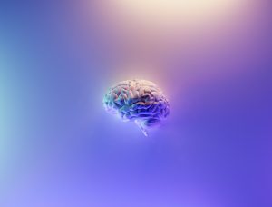 Gehirn vor lila blau weißem Hintergrund, leicht strahlender Effekt.